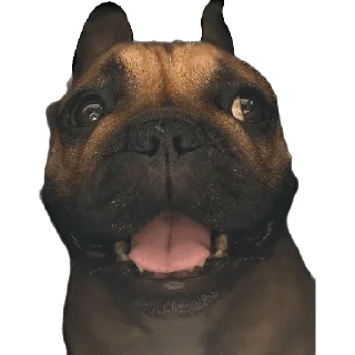 Sticker QuinnMia's - 2