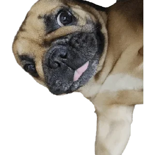 Sticker QuinnMia's - 6