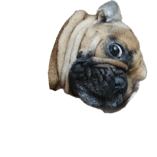 Sticker QuinnMia's - 5