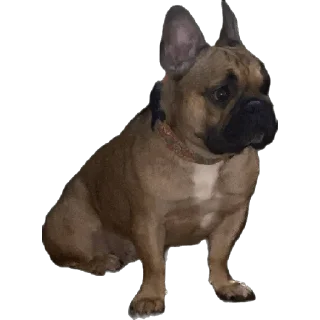 Sticker QuinnMia's - 3