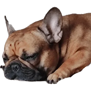 Sticker QuinnMia's - 8