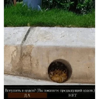 Стикер BattletoadsTF - 9