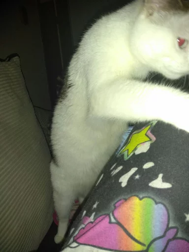 Стикер Batzey - 1