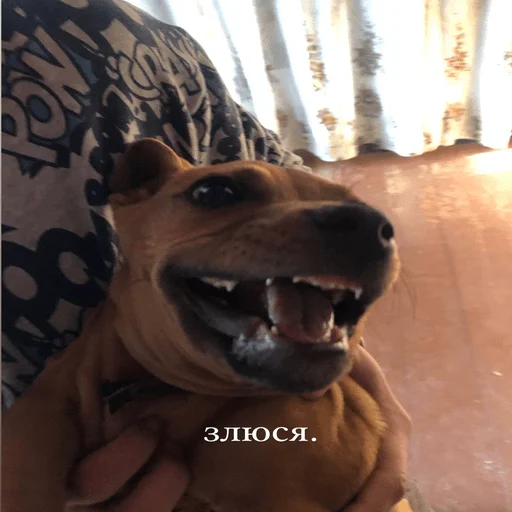 Sticker Байрак - 11