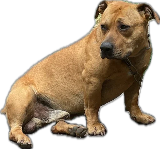 Sticker Байрак - 10