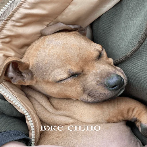 Sticker Байрак - 4