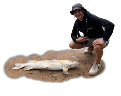 Sticker Bazzar052 - 1