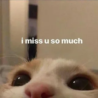 Sticker Больше стикеров 👉🏻 @stickertg4 - 5