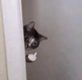 Sticker Больше стикеров 👉🏻 @stickertg4 - 10