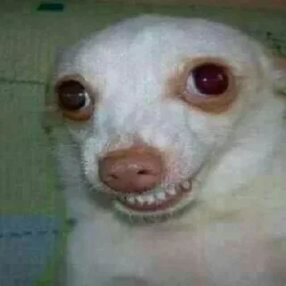 Sticker Больше стикеров 👉🏻 @stickertg4 - 2