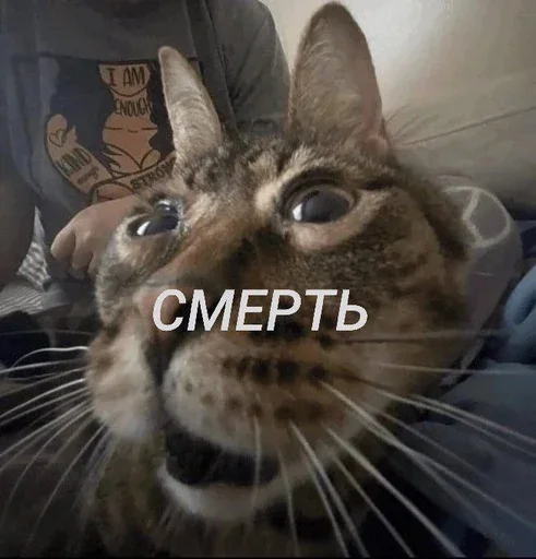 Стикер Bbbn33 - 1