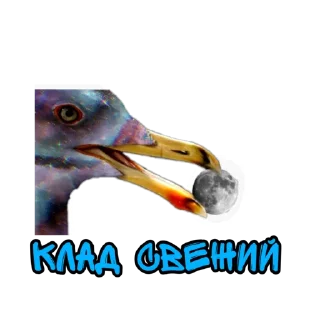 Стикер Back uuppp - 2