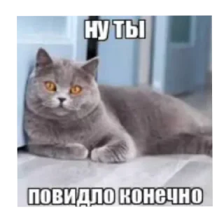 Стикер Больше стиков тут: @stikery4 - 2