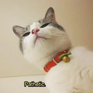 Sticker Всраті коти (@memenace) - 2