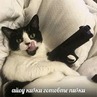 Sticker Всраті коти (@memenace) - 0