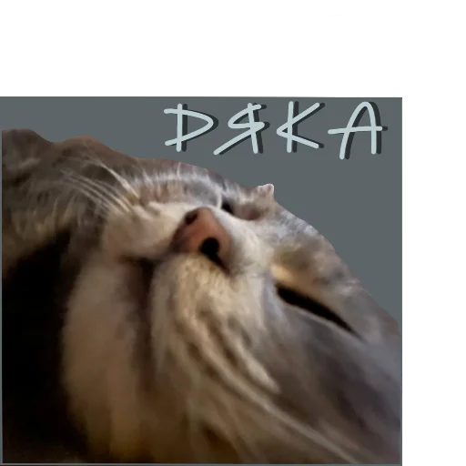 Sticker bdr weapon - 6