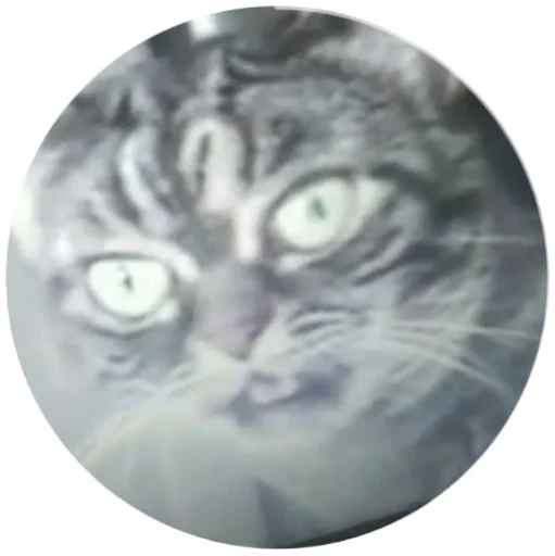 Стикер 11BMW - 3