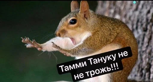 Стикер BeautyChat3 - 1