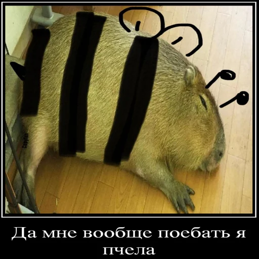 Стикер Бебряха - 9