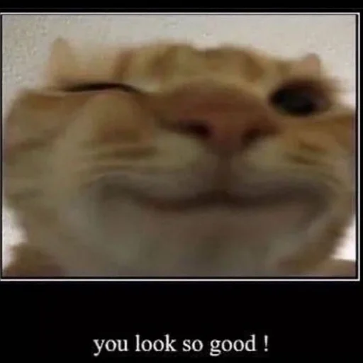 Стикер Бебряха - 7