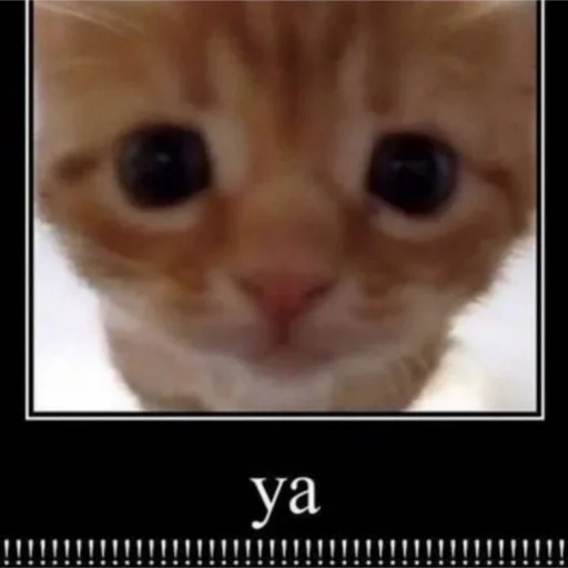 Стикер Бебряха - 4