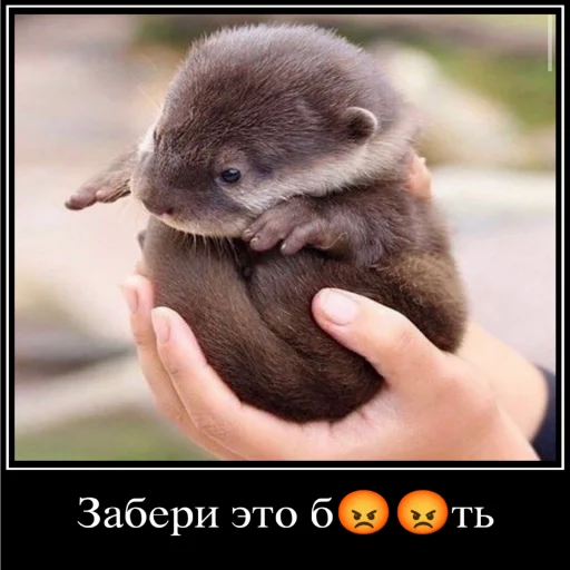 Стикер Бебряха - 2