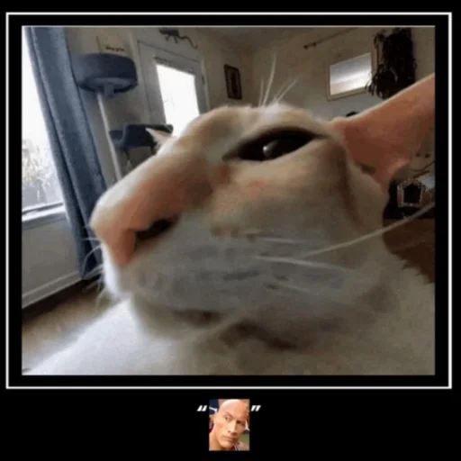 Стикер Бебряха - 0