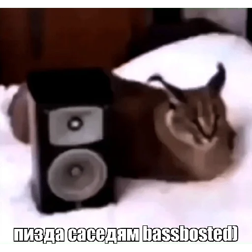 Sticker Bebra mix banano - 10