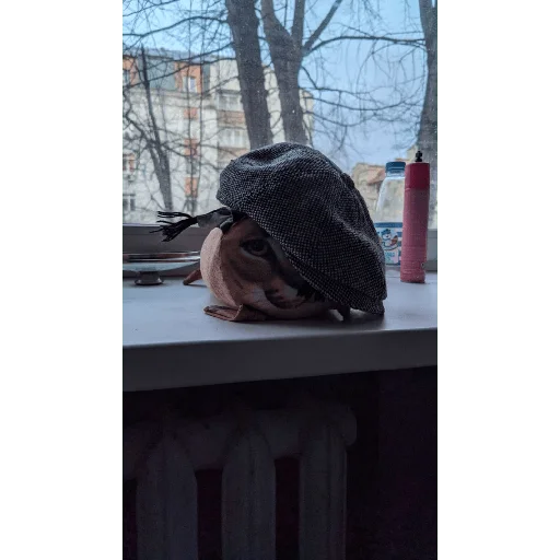 Sticker Bebra mix banano - 7