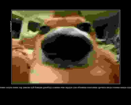 СМС скриншот графический дизайн