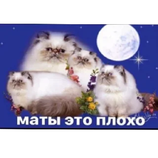 Sticker Беброчка228 - 7