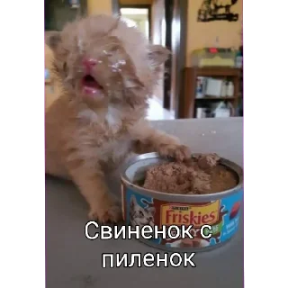 Sticker Беброчка228 - 0