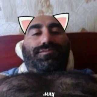 Sticker Bebra 46 - 7