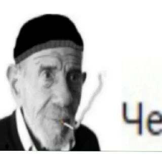 Sticker Bebra 46 - 9