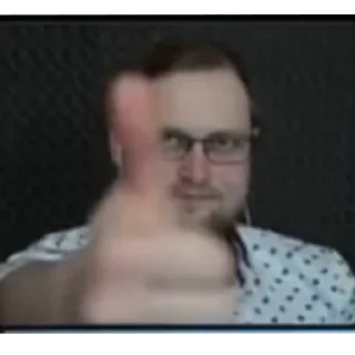 Sticker Bebra 46 - 11