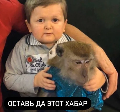 animal mammal person