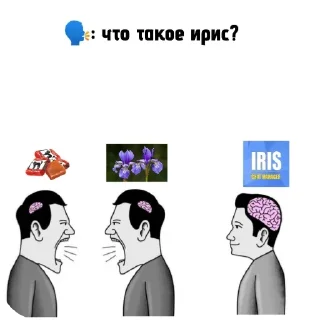 Sticker Бедный ирис!(( @DauTe_Tanc - 6