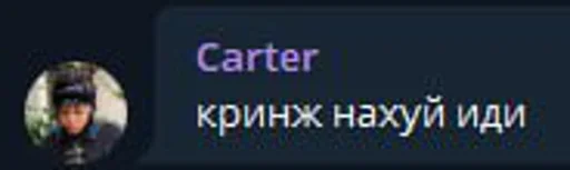 Sticker кринж и сом это дурдом - 2