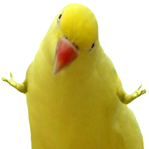 животное птица клюв