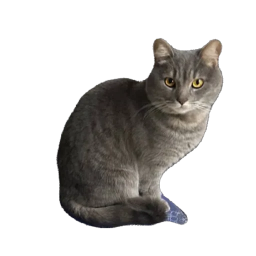 Стикер Behn464 - 1