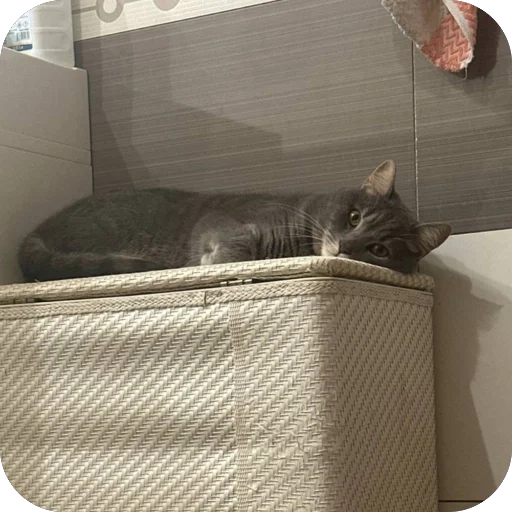 Стикер Behn464 - 1