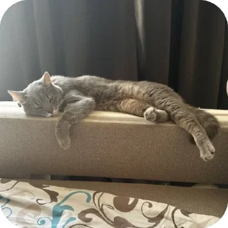 Стикер Бэн - 5