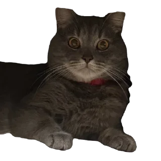 Стикер Бэн - 2