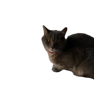 Стикер Бэн - 0