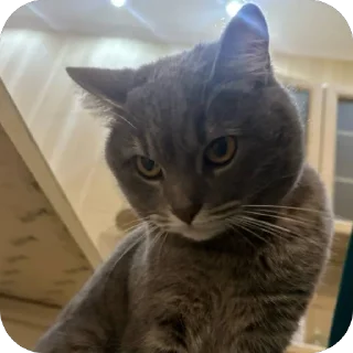 Стикер Бэн - 3