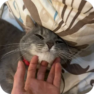 Стикер Бэн - 4