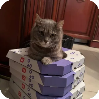 Стикер Бэн - 11