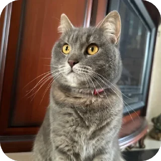 Стикер Бэн - 8