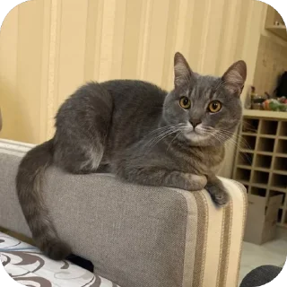 Стикер Бэн - 7