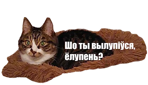 Беларускамоўныя коцікі - 